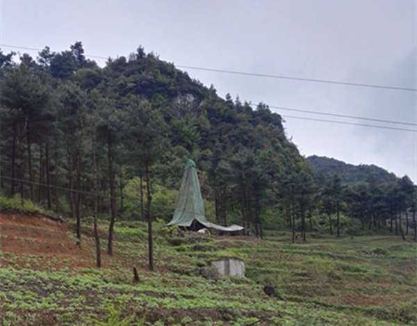 把脈“黔”鋅地，問診開良方